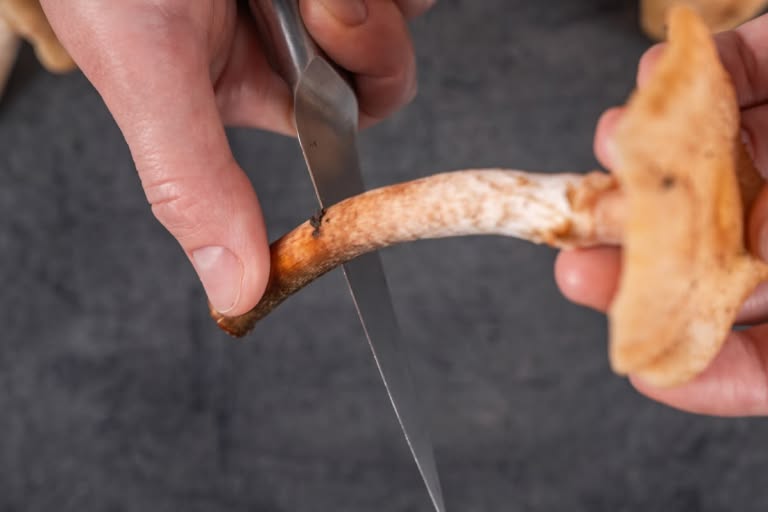 How to Prepare Honey Mushrooms: Step 2.