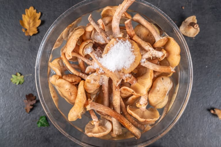 How to Prepare Honey Mushrooms: Step 3.