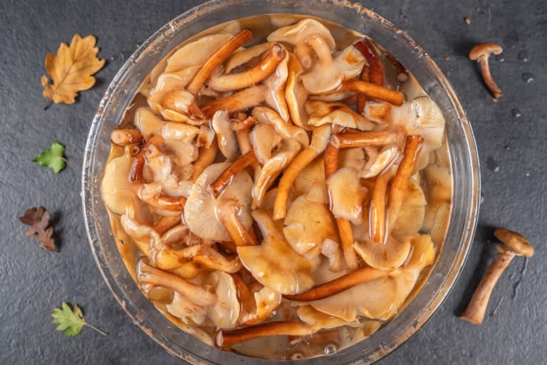 How to Prepare Honey Mushrooms: Step 4.