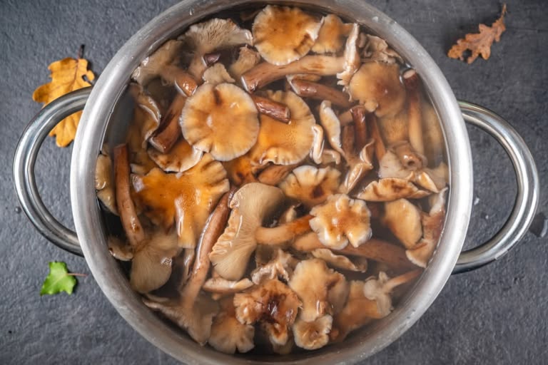 How to Prepare Honey Mushrooms: Step 6.